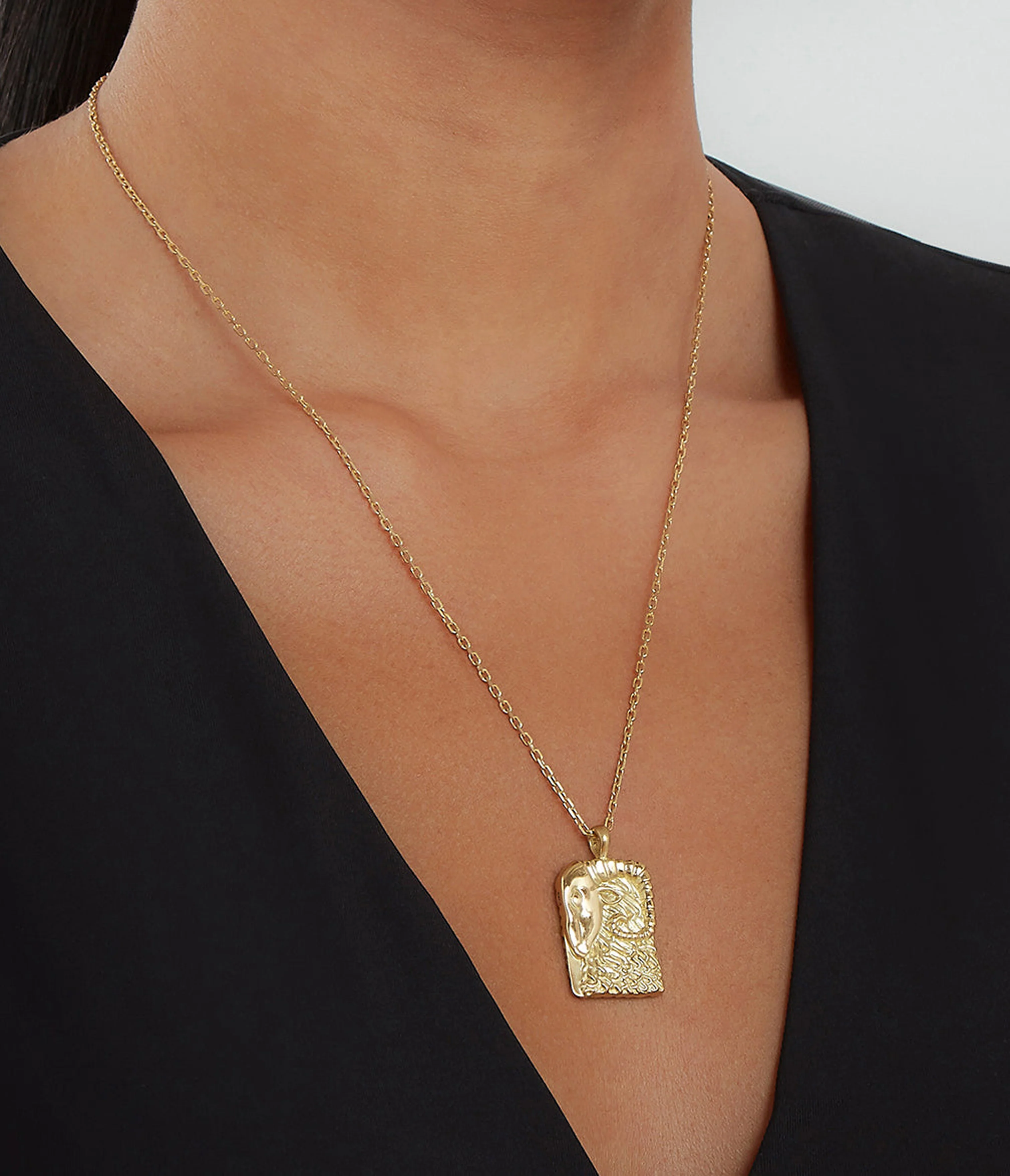 Aries Zodiac Pendant Necklace - Image 4